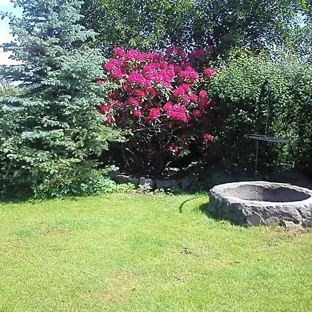 Wilcza Kołczewo