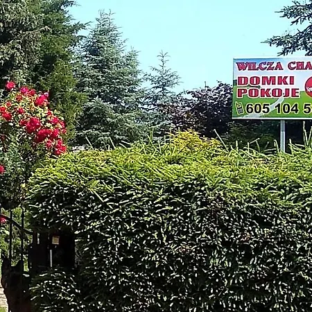 Wilcza * Kołczewo